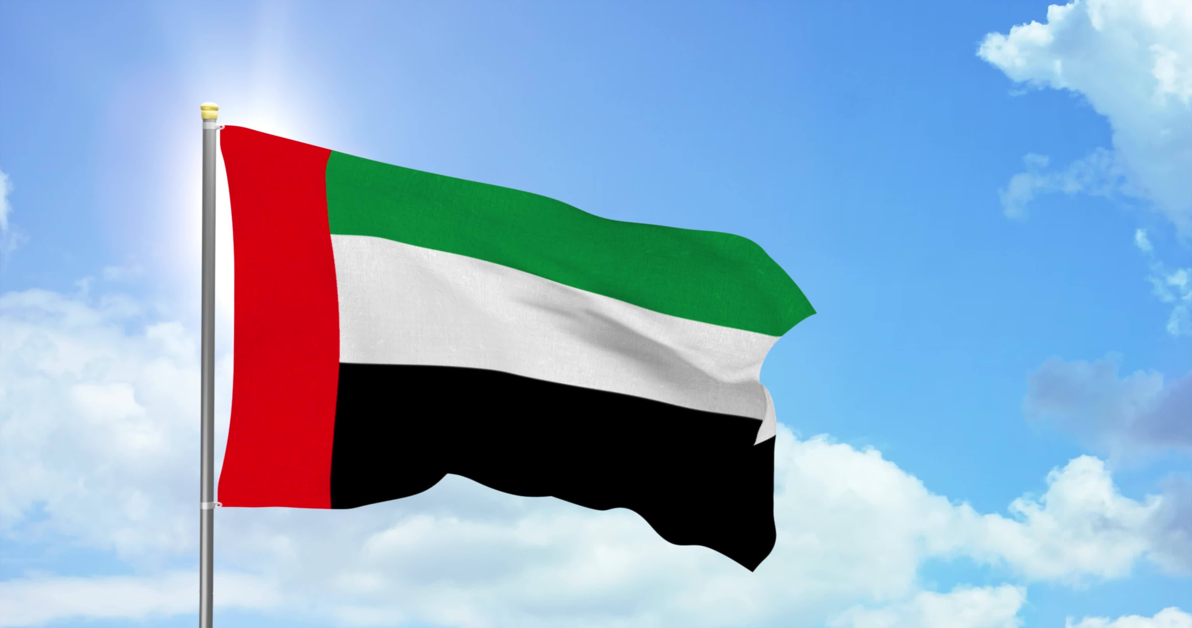 Home Decor Uae - （TIKI FLAG）アラブ首長国連邦の国旗。サイズは90cm×150cm。ポリエステル製。アラブ首長国連邦の国旗をモチーフにした装飾用バナー。ご自宅のインテリアに。